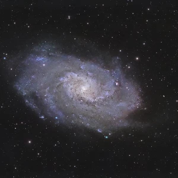Dreiecksgalaxie